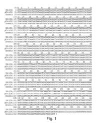 METHODS AND COMPOSITIONS FOR CELL-PROLIFERATION-RELATED DISORDERS