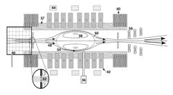 Method and apparatus to produce high specific impulse and moderate thrust from a fusion-powered rocket engine