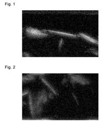 POWDER COATING MATERIAL, COATED ARTICLE, AND METHOD FOR PRODUCING COATED ARTICLE