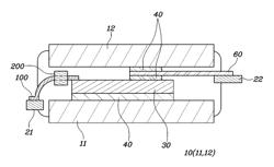 SIGNAL BLOCK AND DOUBLE-FACED COOLING POWER MODULE USING THE SAME