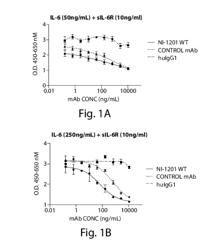 Anti-IL-6/IL-6R antibodies