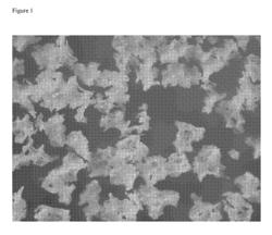 Process for the synthesis of poly (vinyl alcohol) and/or poly (vinyl acetate) with spherical morphology and shell-and-nucleus structure and its use in vascular embolization