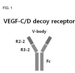 FUSION POLYPEPTIDE INHIBITING VEGF-C, VEGF-D AND/OR ANGIOPOIETIN-2, AND USE THEREOF