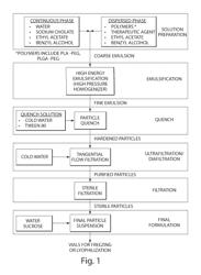 Therapeutic polymeric nanoparticle compositions with high glass transition temperature or high molecular weight copolymers