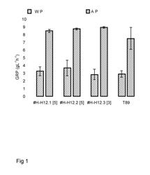 WOODY PLANTS HAVING IMPROVED GROWTH PROPERTIES