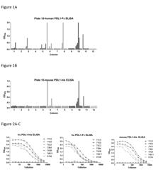 PD-L1 Specific Monoclonal Antibodies for Disease Treatment and Diagnosis