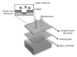 MOISTURE DETECTION SENSOR, DEFECT DETECTION SENSOR, AND SENSOR ARRAY USING SAME