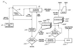 METHODS FOR PRODUCING A HIGH PROTEIN CORN MEAL FROM A WHOLE STILLAGE BYPRODUCT AND SYSTEM THEREFORE