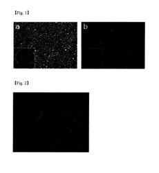 Hydrogel particle coated with lipid and method for manufacturing same