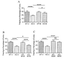 Methods of treating fragile X syndrome and related disorders