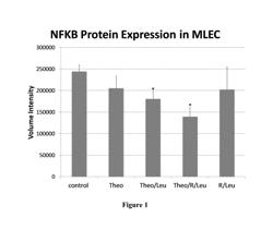 COMPOSITIONS, METHOD, AND KITS FOR TREATING PULMONARY CONDITIONS