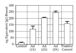 METHODS AND COMPOSITIONS FOR EBOLA VIRUS VACCINATION