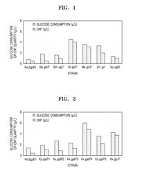 MICROORGANISM HAVING ENHANCED CELLULOSE PRODUCTIVITY