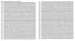 NUCLEIC ACID-BASED LINKERS FOR DETECTING AND MEASURING INTERACTIONS