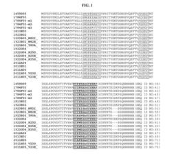 Fibronectin based scaffold domain proteins that bind PCSK9