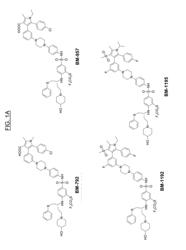 Use of a Heterocyclic Bcl-xL Inhibitor and Related Analogs for Removing Senescent Cells in the Treatment of Eye Diseases and Other Age-Related Conditions