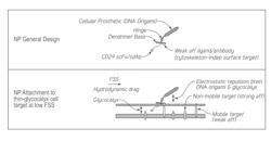 NANOPARTICLE PROBES AND METHODS OF MAKING AND USE THEREOF