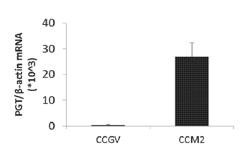 PROSTAGLANDIN TRANSPORTER INHIBITORS FOR INHIBITING OVULATION