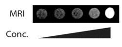 Eukaryotic Cells with Artificial Endosymbionts for Multimodal Detection