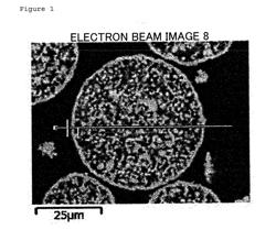 FERRITE PARTICLES PROVIDED WITH OUTER SHELL STRUCTURE FOR CATALYST SUPPORTING MEDIUM