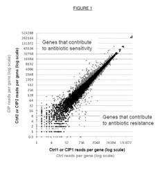 METHOD FOR IDENTIFYING ANTIBIOTIC TARGETS