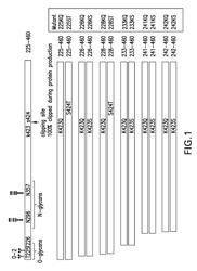 Peptides and compositions for treatment of joint damage