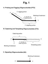 Detection of target nucleic acid sequence by PTO cleavage and extension-dependent signaling oligonucleotide hybridization assay