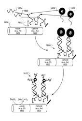 Nanomotors and motion-based detection of biomolecular interactions