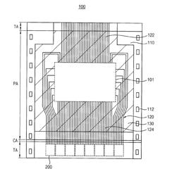 Test pad structure, a pad structure for inspecting a semiconductor chip and a wiring substrate for a tape packaging having the same