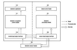 METHOD AND APPARATUS FOR PROCESSING BIOMETRIC INFORMATION IN ELECTRONIC DEVICE