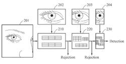 Method and apparatus for detecting biometric region for user authentication