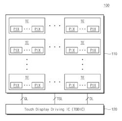 TOUCH DISPLAY DRIVING INTEGRATED CIRCUIT AND OPERATION METHOD THEREOF