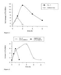 Template-fixed peptidomimetics