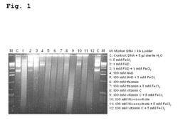 Decontamination solution and its use for denaturation, modification, degradation, solubilisation and removal of proteins, nucleic acid molecules and microorganisms