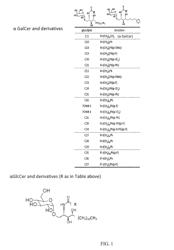 COMPOSITIONS AND METHODS FOR THERAPEUTIC ANTI-CANCER VACCINATION