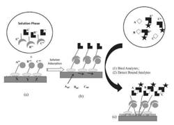 METHODS FOR CONDUCTING MULTIPLEXED ASSAYS