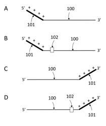 METHODS AND SYSTEMS FOR DETECTING TARGET NUCLEIC ACIDS