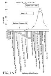 Maize cytoplasmic male sterility (CMS) S-type restorer Rf3 gene, molecular markers and their use