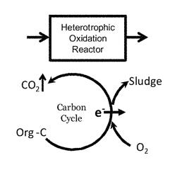 Biological wastewater treatment and reuse utilizing sulfur compounds as electron carrier to minimize sludge production