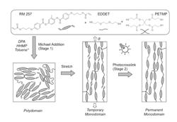 Systems and methods of creating liquid crystal polymers using stepped reactions