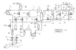 Blood Purification Apparatus