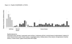 NOVEL PEPTIDES AND COMBINATION OF PEPTIDES FOR USE IN IMMUNOTHERAPY AGAINST VARIOUS TUMORS