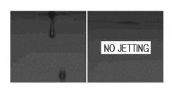 Conductive polymer ink composition