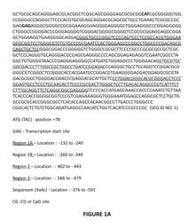 Method of diagnosing cancer comprising detection of the methylation signature in the hTERT promoter