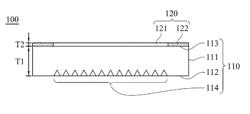 Optical module, display device containing the same and method for manufacturing the same