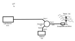 OPTICAL COHERENCE TOMOGRAPHY FOR BIOLOGICAL IMAGING