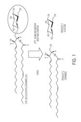 ENZYMATIC ACTIVITY ASSAYS FOR GLUCOCEREBROSIDASE