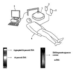 Phosphors and scintillators for light stimulation within a medium