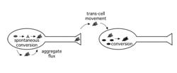 Method for detection of aggregates in biological samples