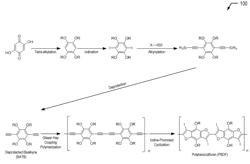 LADDER POLYBENZODIFURANS